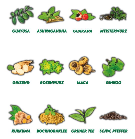 Schnupfpulver mobil Qualitaet 2 - Don Wayuso - POWER OF NATURE